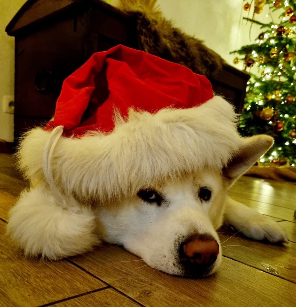 Thème de Noël au salon de coiffure La Coupe d'Argent à Juprelle